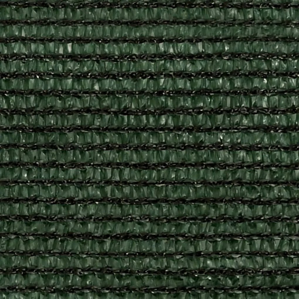 Para-sol estilo vela 160 g/m² 2,5x4 m PEAD verde-escuro