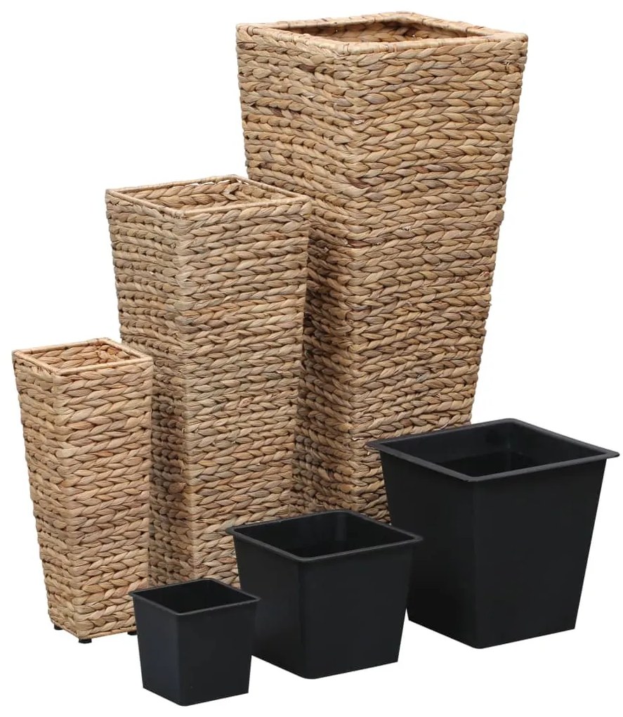 Vasos/floreiras 3 pcs jacinto de água castanho