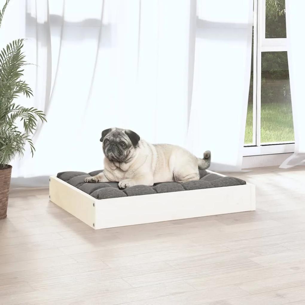 Cama para cães 61,5x49x9 cm madeira de pinho maciça branco