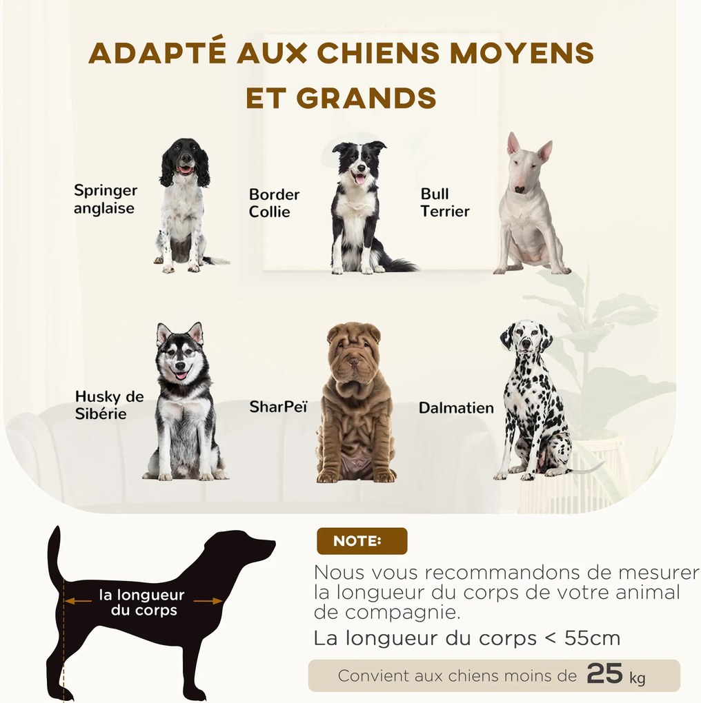 Cama para cães e gatos com design contemporâneo em forma de concha, dimensões: 98 C x 60 L x 35 A cm, almofada macia em veludo cinzento