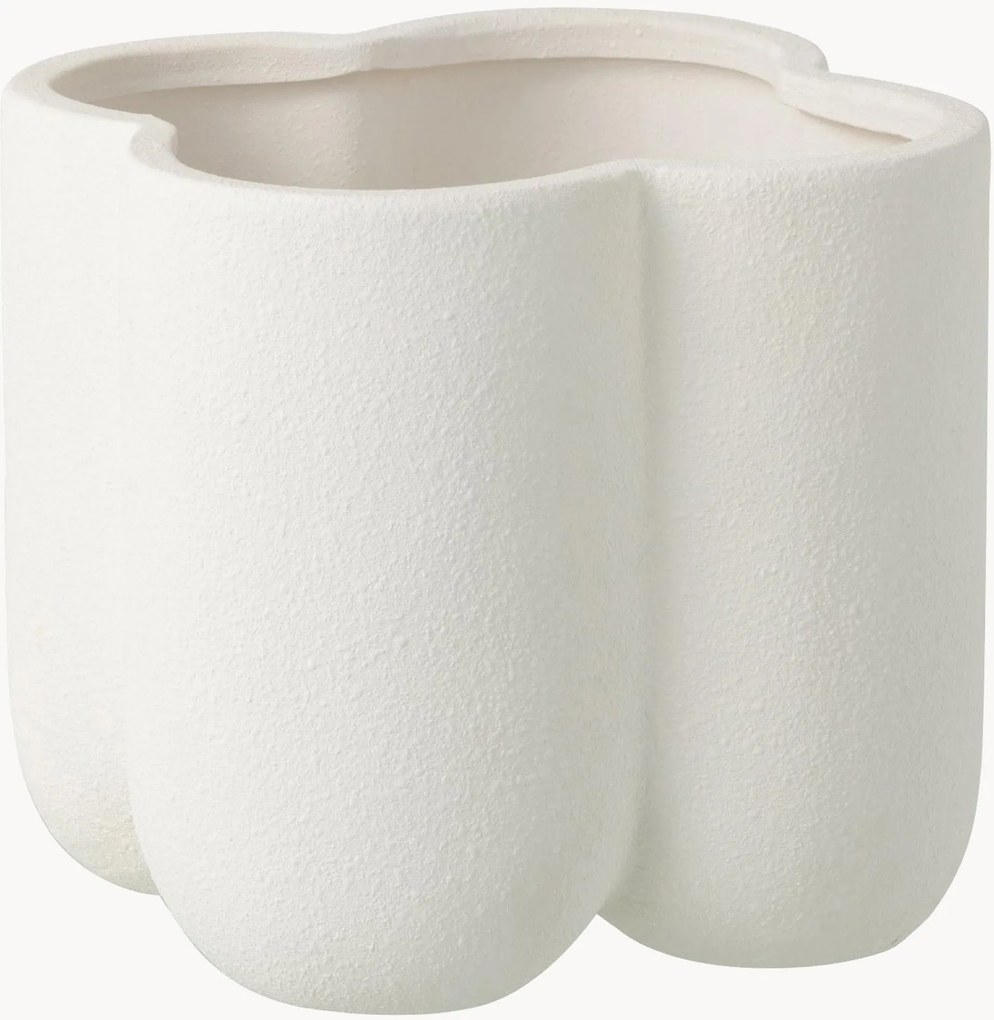 Vaso Buddy