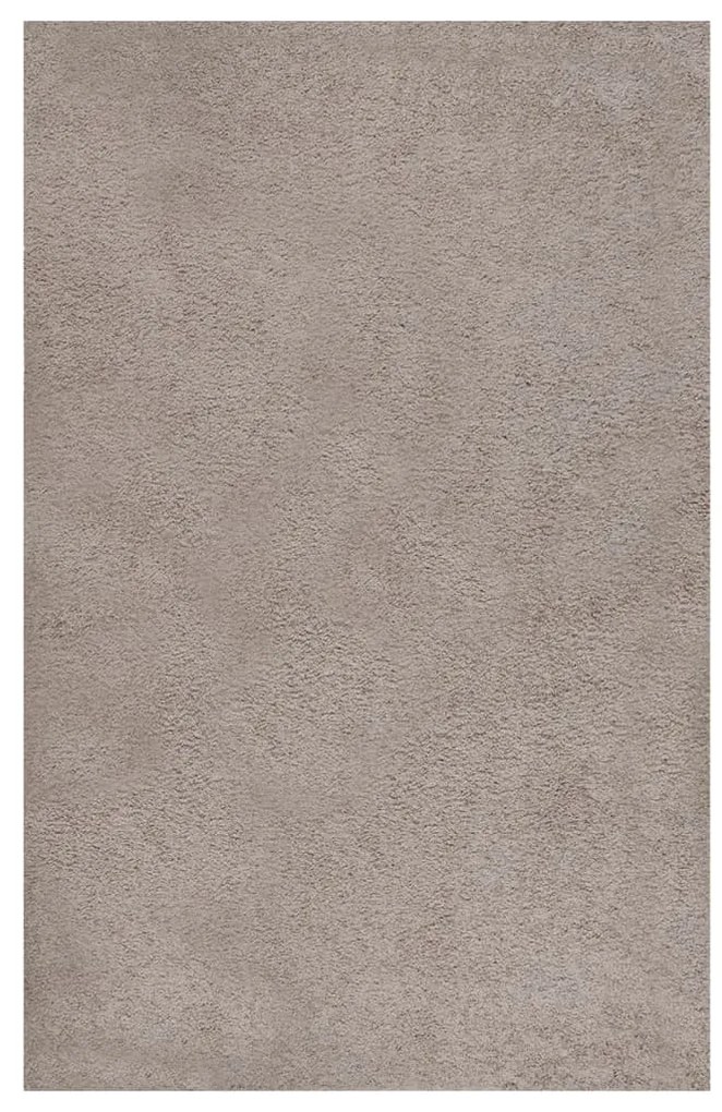vidaXL Tapete shaggy de pelo alto 200x290 cm bege