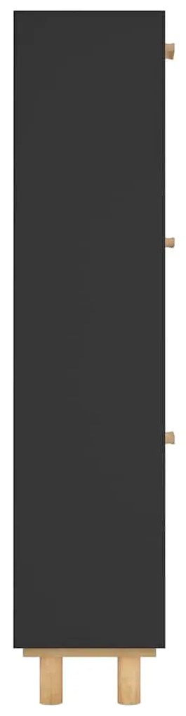 Sapateira 52x25x115 cm derivados de madeira/vime natural preto