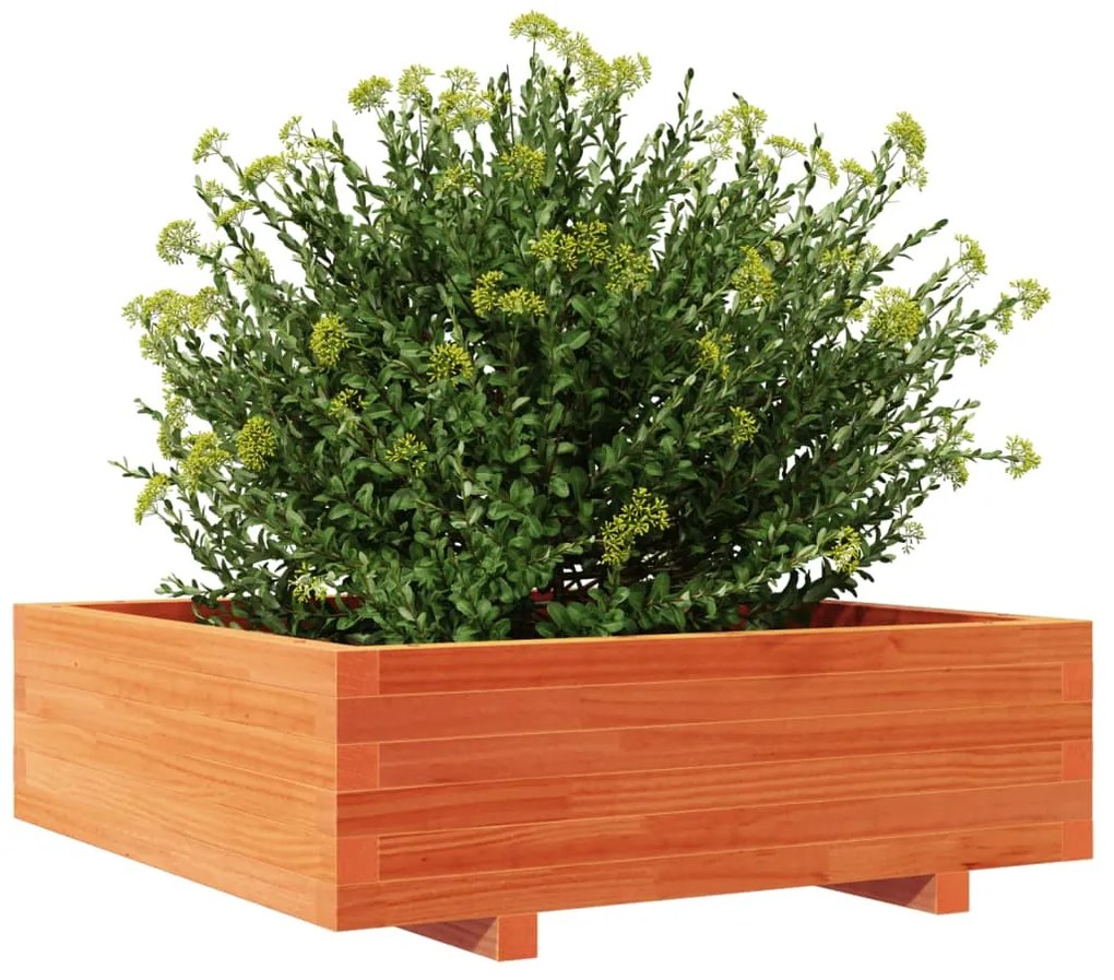 Vaso/floreira de jardim 80x80x26,5 cm pinho maciço castanho-mel