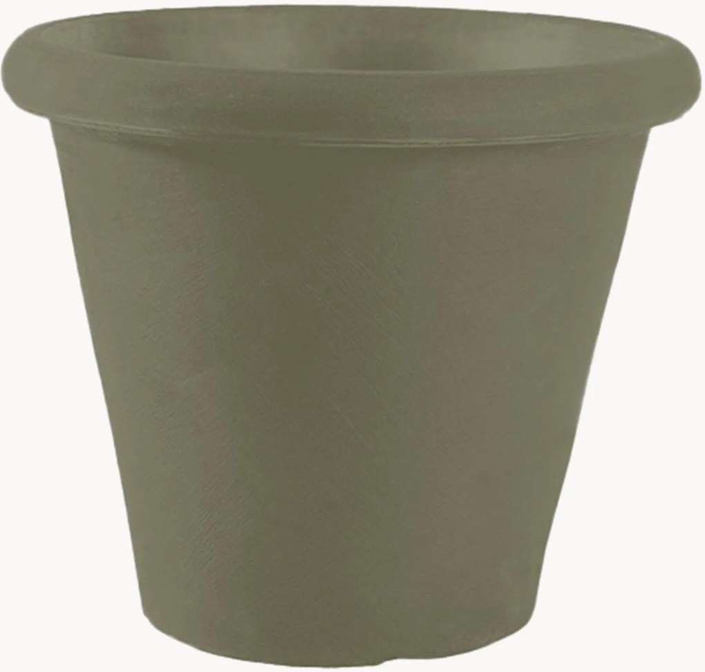 Vaso Camelia