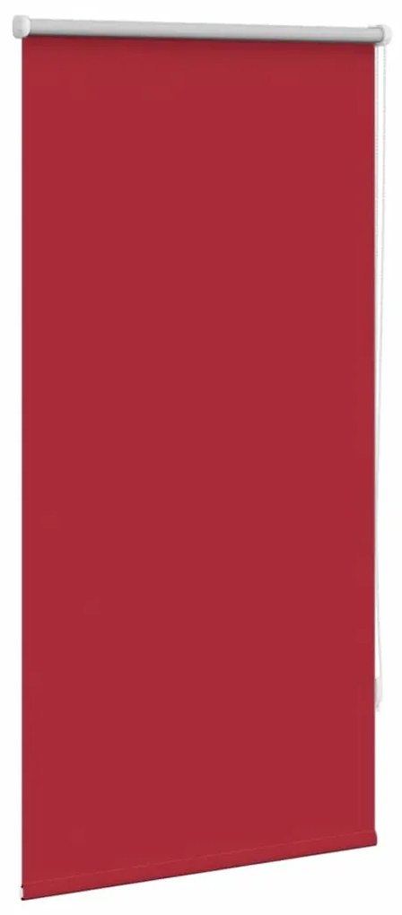 Estore de rolo 60 x 120 cm, Vermelho