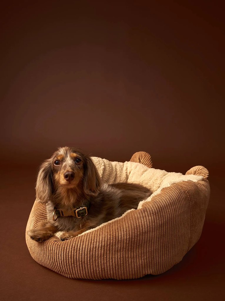 Cesto acolchoado Family, para animal de companhia caramelo