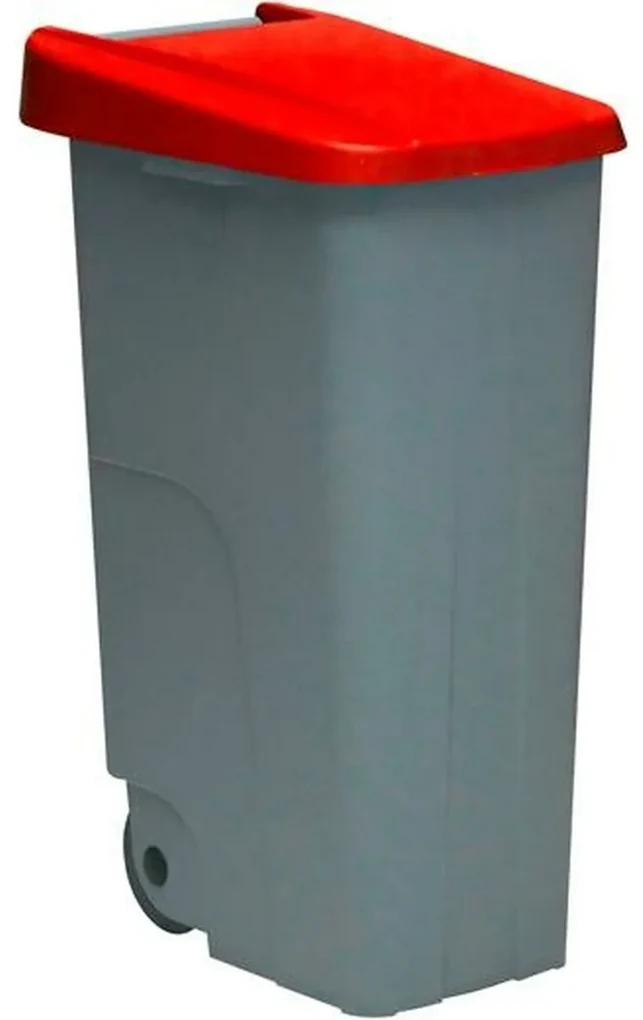 Caixote de Lixo para Reciclagem Tontarelli Plástico Cinzento (77 X 32 X  47,5 cm)