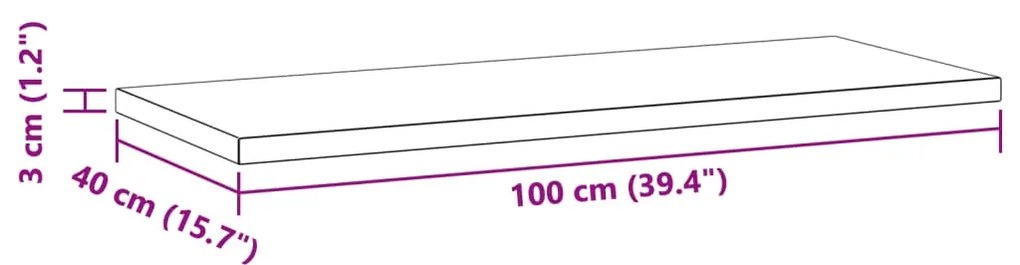 Prateleiras de parede 2 pcs 100x40x3 cm aço inoxidável prateado