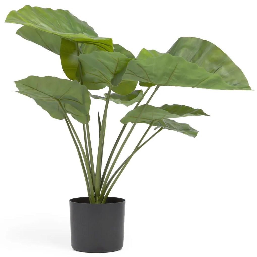 Kave Home - Planta artificial Alocasia Odora com vaso preto 57 cm