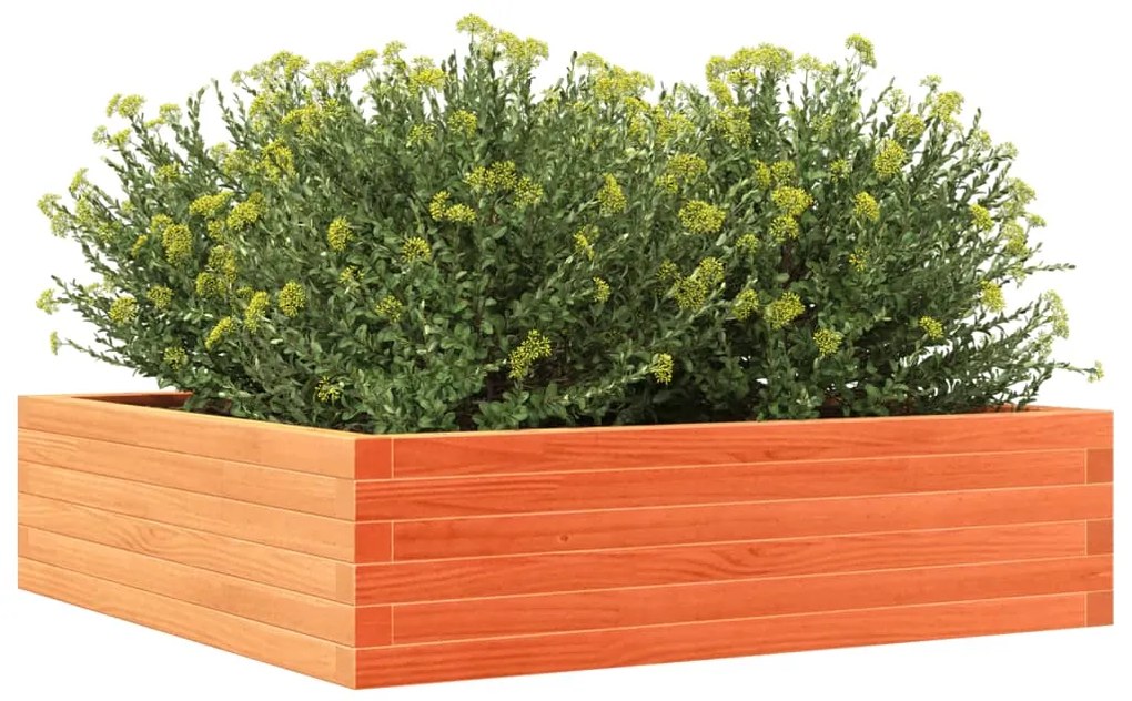 Vaso/floreira de jardim 90x90x23 cm pinho maciço castanho mel