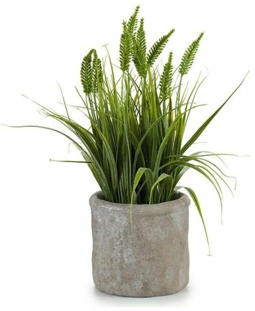 Planta Decorativa Plástico Corda (12 x 30 x 12 cm)