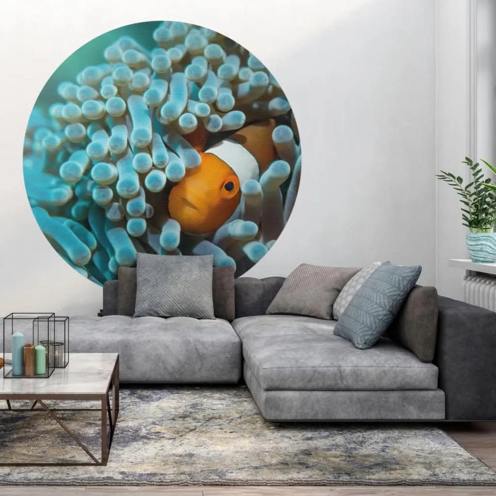 WallArt Papel de parede circular "Nemo the Anemonefish" 190 cm