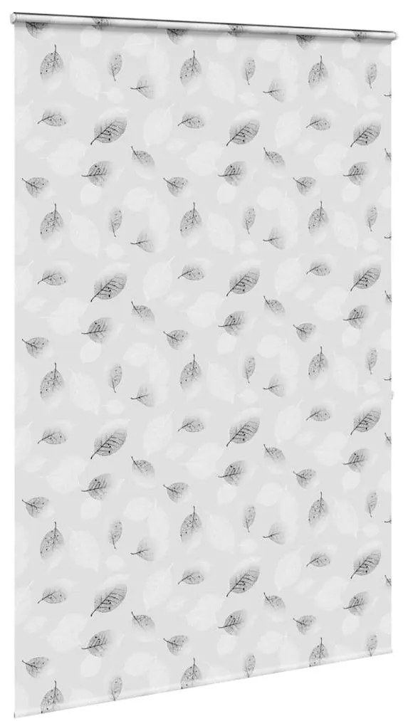 Rolo de Duche Estores cassete 150x240 cm Largura Tecido 146 cm