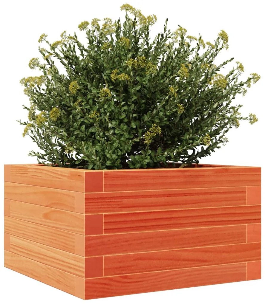Vaso/floreira de jardim 40x40x23 cm pinho maciço castanho-mel