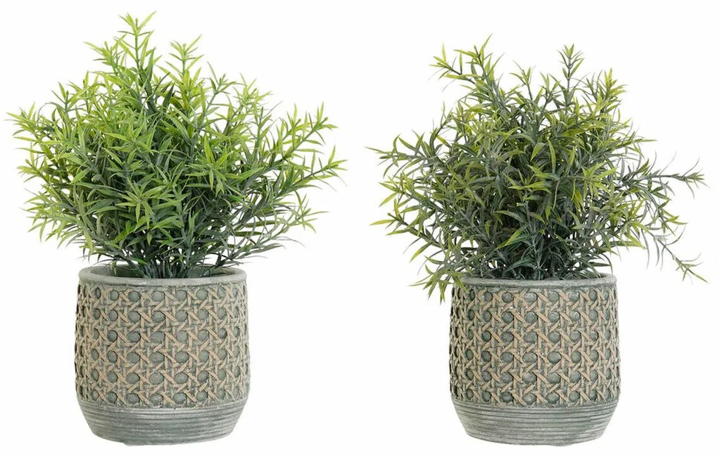 Planta Decorativa DKD Home Decor Polietileno Verde Resina (12 x 12 x 30 cm) (2 pcs)