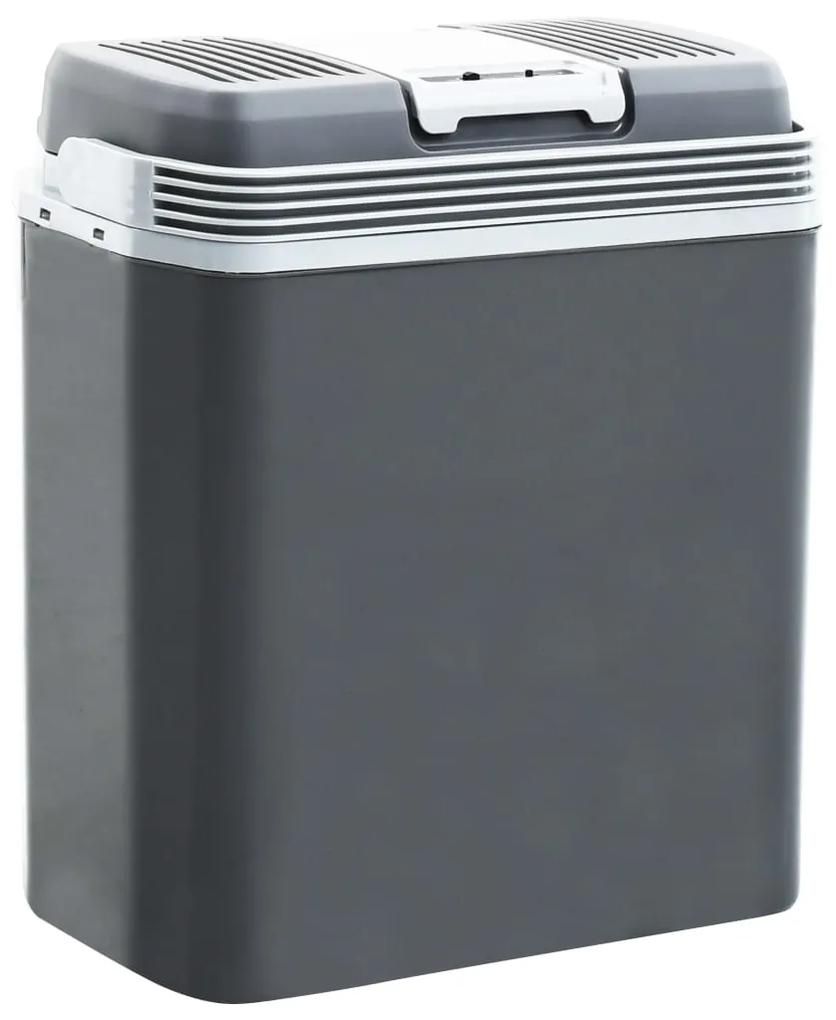 51197 vidaXL Refrigerador/mala térmica portátil 20 L 12 V 230 V E