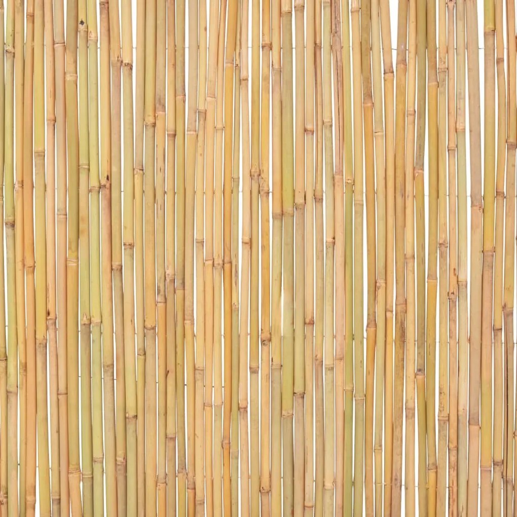 Cerca de bambu 300x100 cm