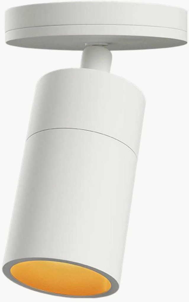 Candeeiro de teto ajustável Expo