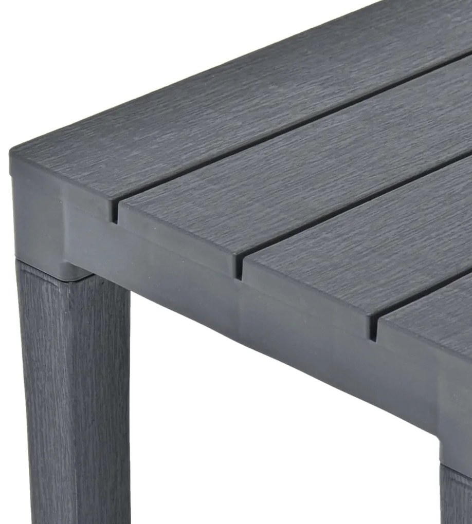 Mesa de jardim com 2 bancos plástico antracite