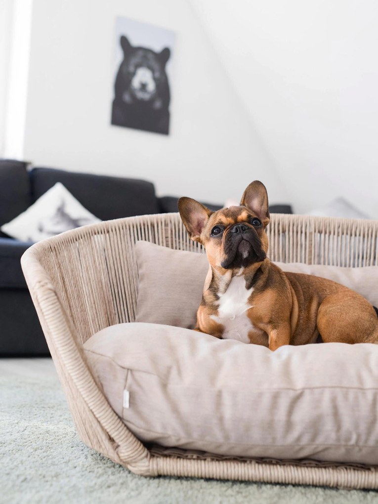 Cama para cães para interior e exterior Vogue