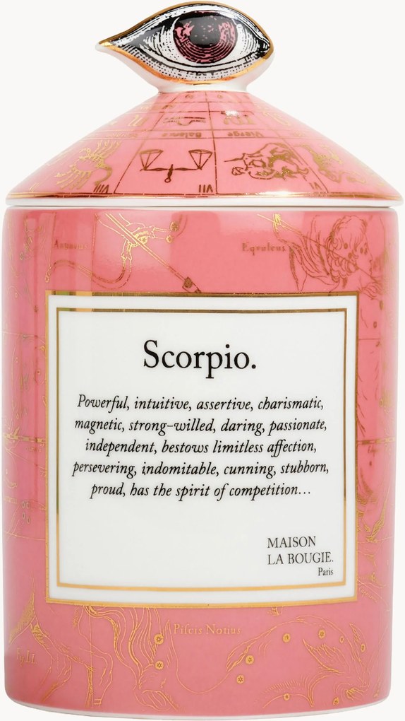 Vela perfumada artesanal Scorpio (groselha & almíscar branco)