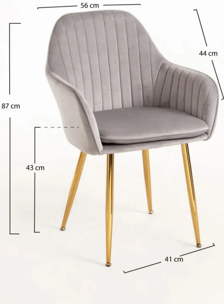 Pack 2 Cadeiras Chic Golden - Cinza claro