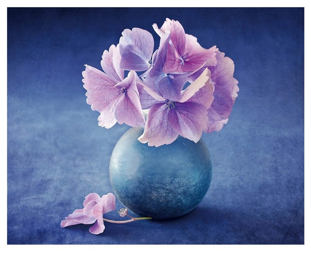 Tela Estampada 100X3X80CM