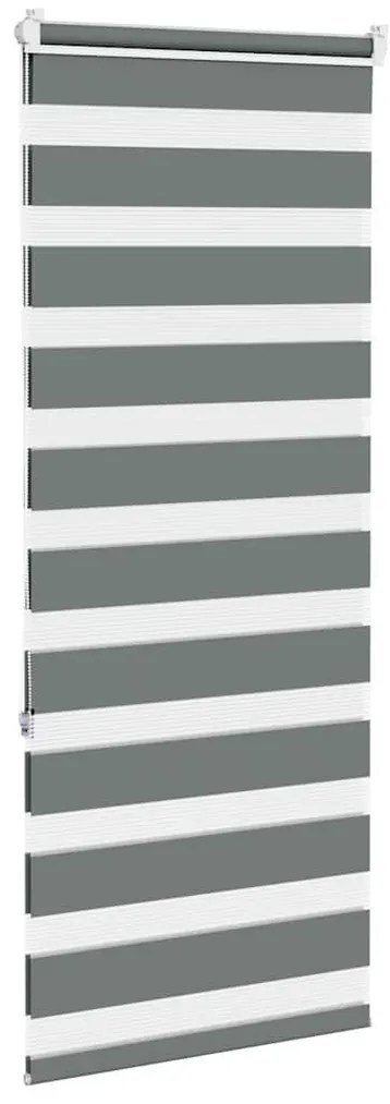 Cortina de zebra 55x150 cm largura do tecido 50,9 cm poliéster