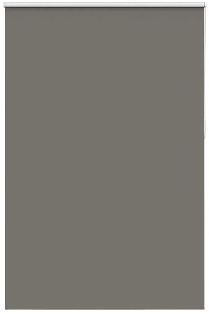 vidaXL Persiana de enrolar 145x210 cm largura tecido 141,6cm poliéster