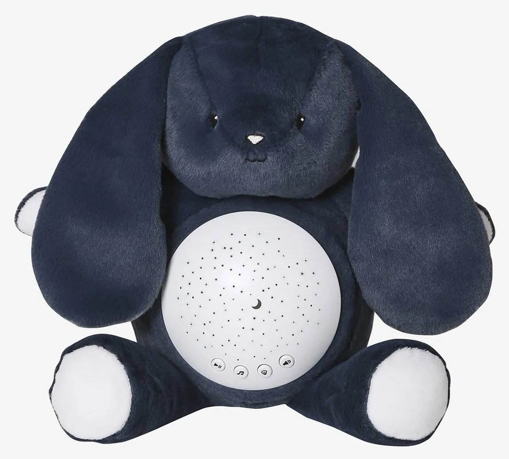 Luz de presença com projetor de estrelas, Raposa azul-ganga