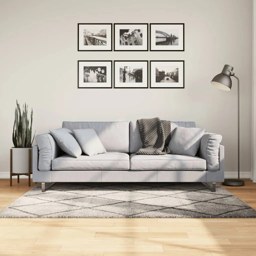 Tapete shaggy de pelo alto PAMPLONA 120x170 cm bege e antracite