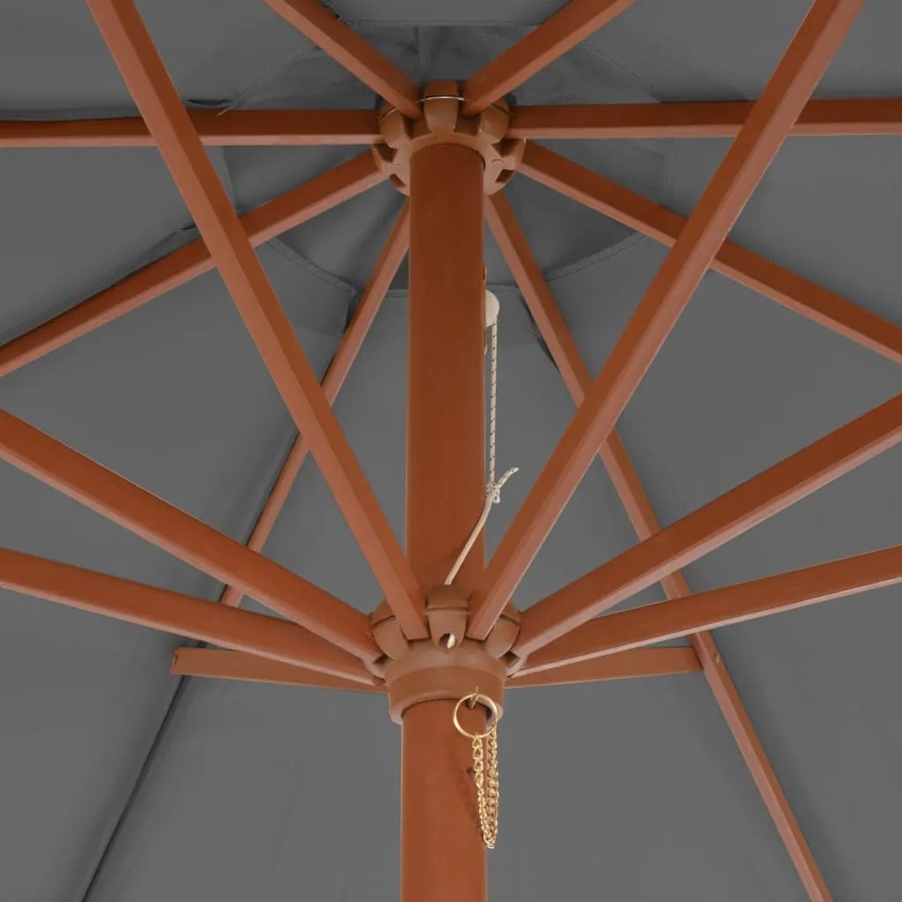 Guarda-sol de exterior com mastro de madeira 300 cm antracite