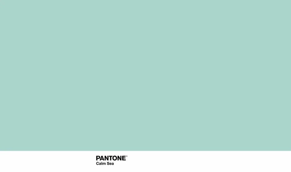 Lençol de cima Pantone Calm Sea 210 x 270 cm (Casal)