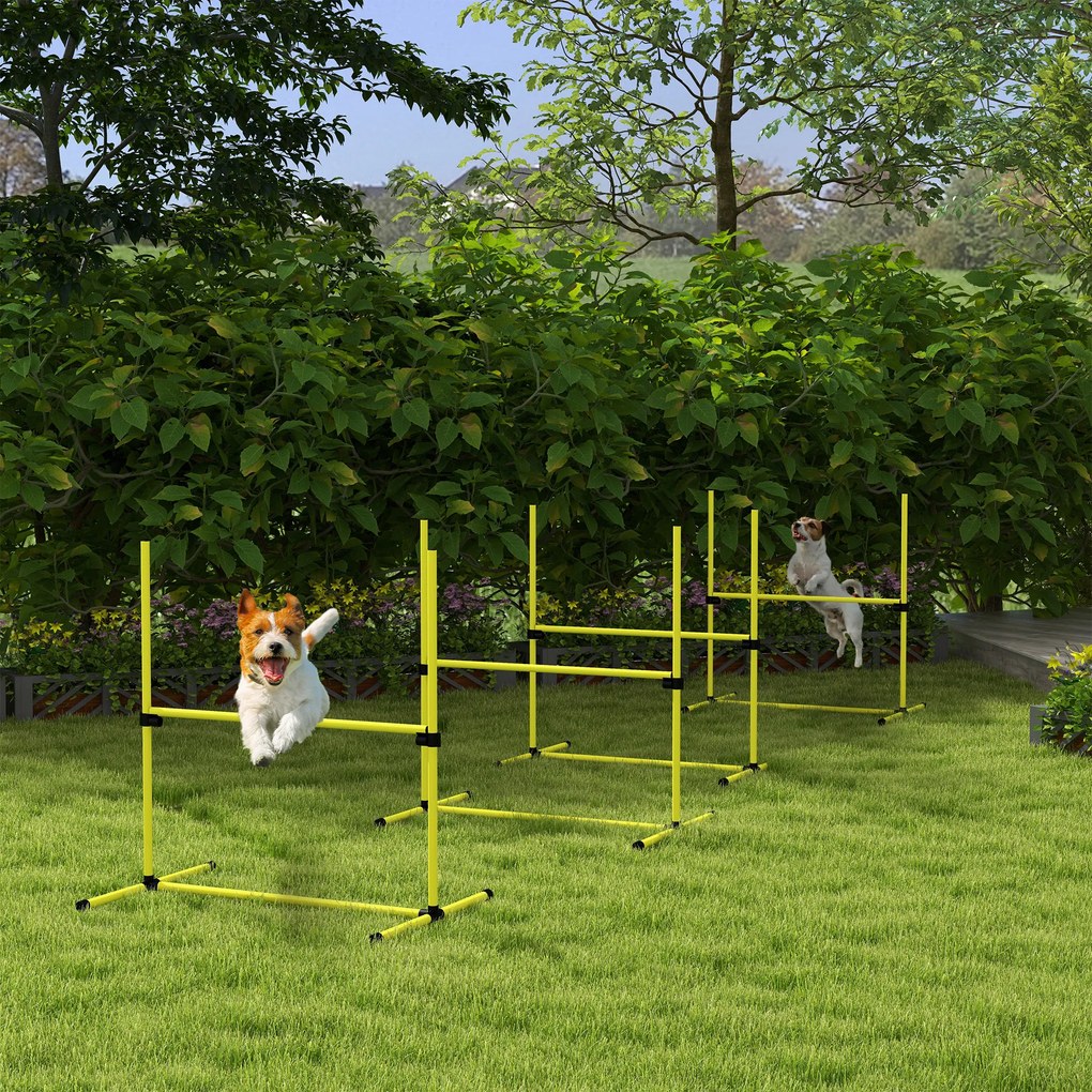 Conjunto de 4 obstáculos profissionais para agility canino, com sistema de fixação ao solo e saco de transporte incluído