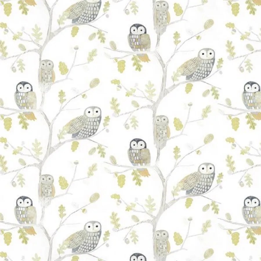 Little Owls 112627