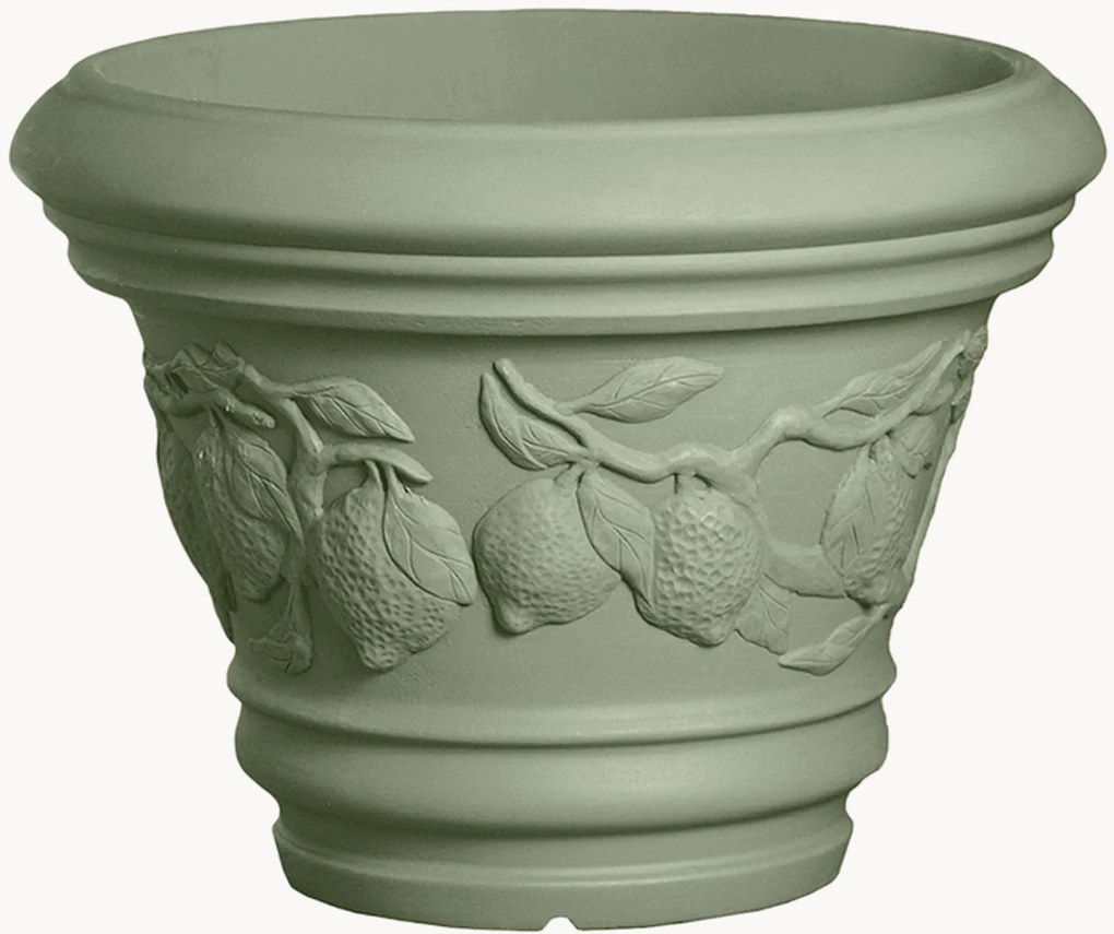 Vaso Limoni