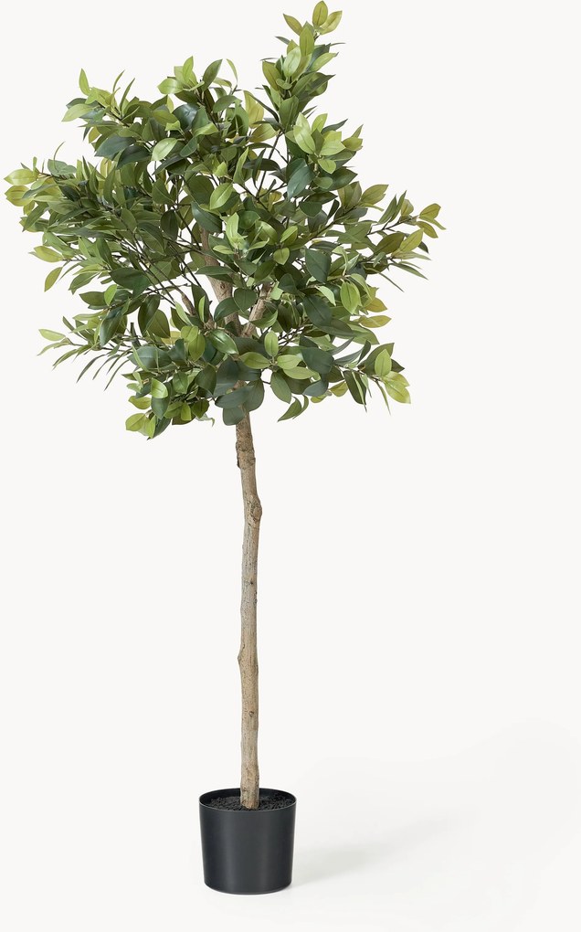 Planta artificial Money Tree