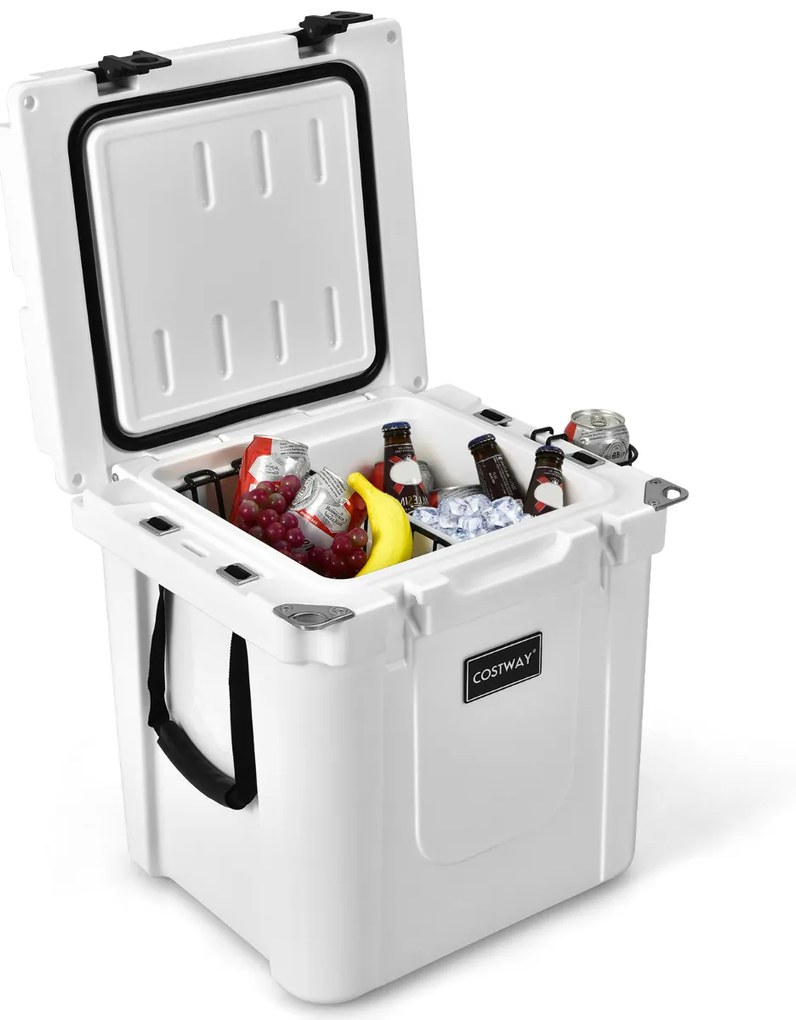 Geleira Termoeléctrico Portátil 31 L Função de Arrefecimento para Campismo Picnic Bebidas 43,5 x 39 x 47 cm Branco