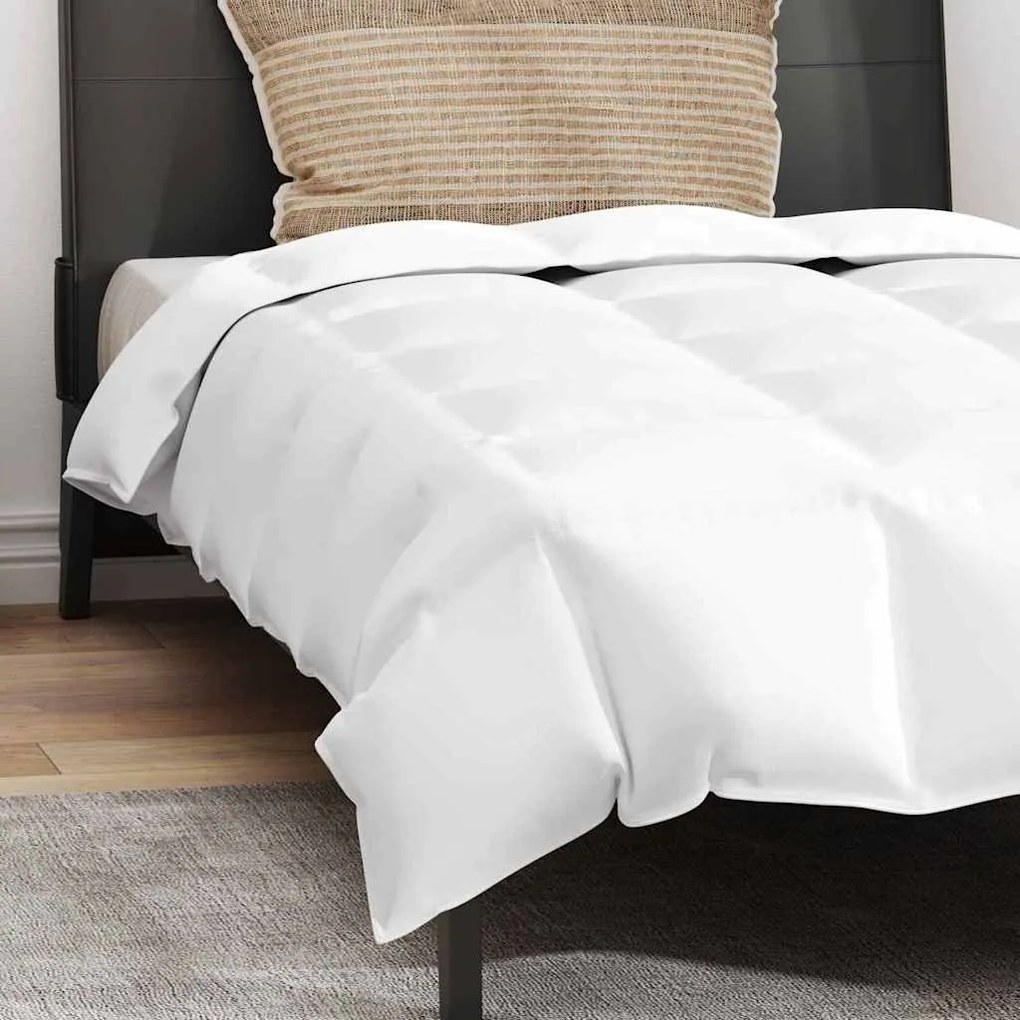 Edredão com travesseiro 2 pcs Branco 135 x 220 cm Penugem