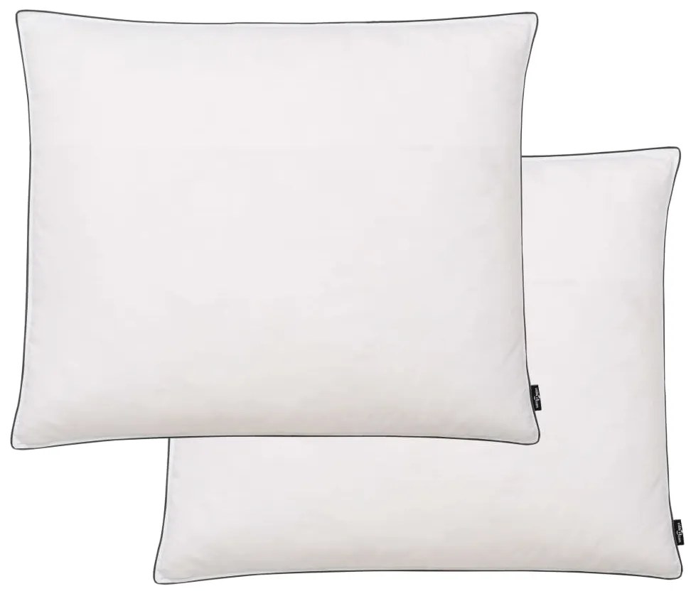 vidaXL Almofadas 2 pcs enchimento de penugem/penas 70x60 cm branco