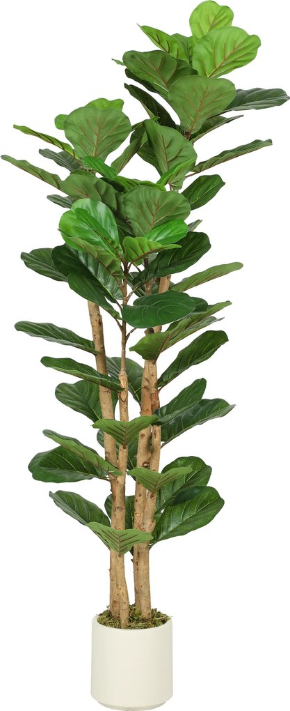 HOMCOM Planta artificial de interior 150 cm Figueira-lira árvore artificial com vaso de plástico e tronco em madeira maciça, verde | Aosom Portugal