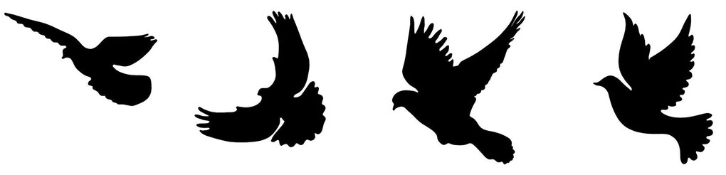 Acessório Decorativo de Parede Pigeons – Preto – 13 x 22 cm, 19 x 20 c