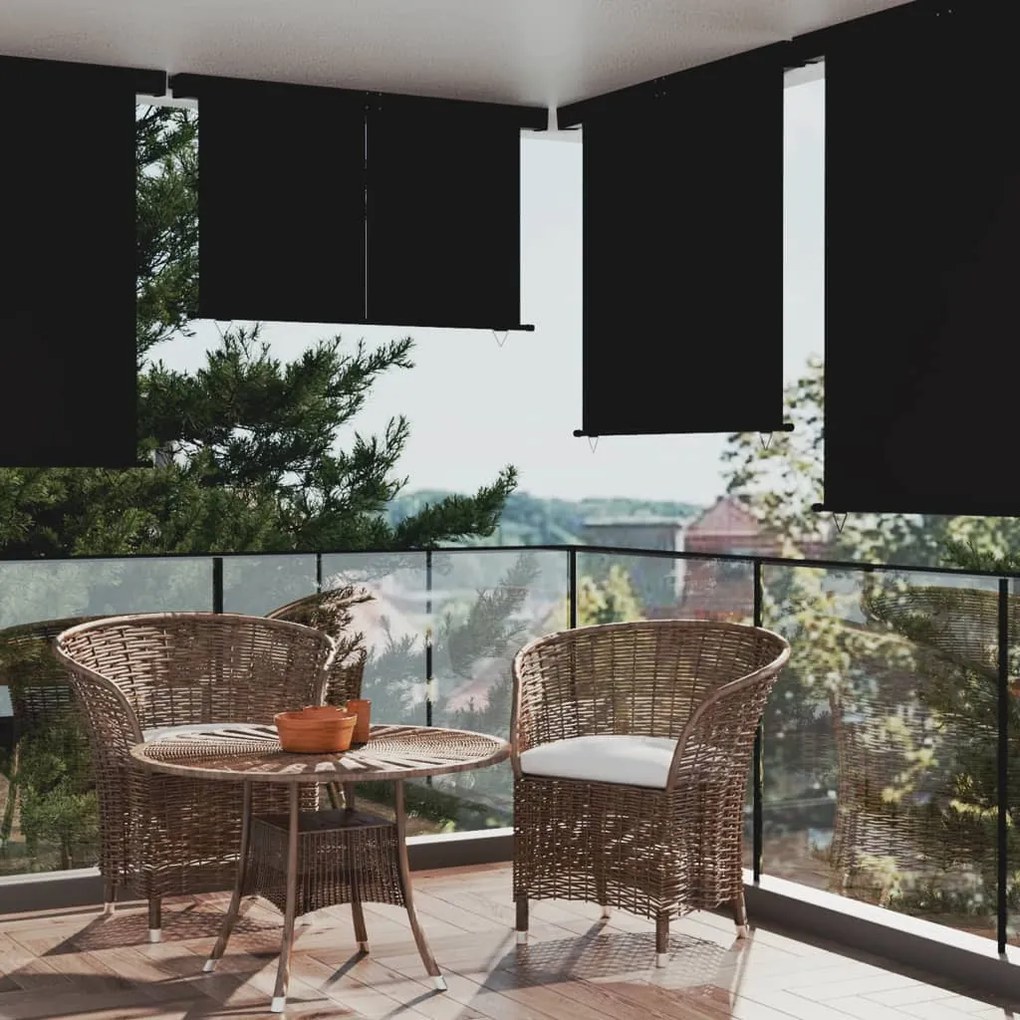 317856 vidaXL Toldo lateral para varanda 165x250 cm preto