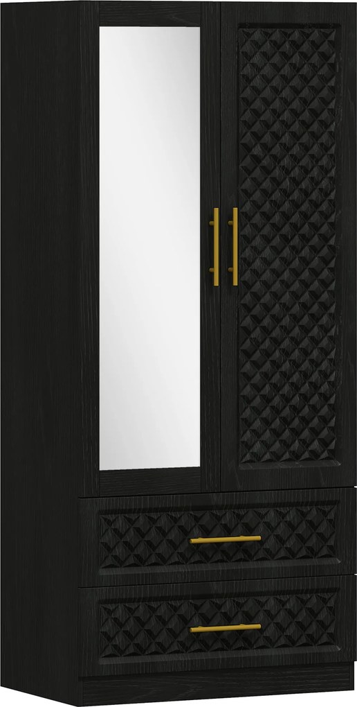 Guarda Roupa com Espelho 2 Portas e 2 Gavetas Relevo de Diamante Barra para Pendurar Estilo Moderno 80x50x180 cm Preto