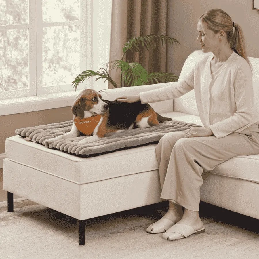 Manta para cães S 90 x 65 cm lavável na máquina cinzento