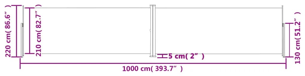 Toldo lateral retrátil 220x1000 cm antracite