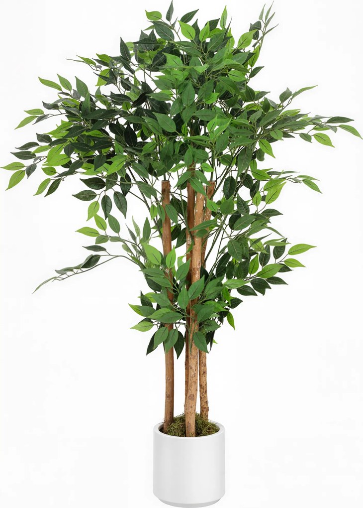 HOMCOM Planta Artificial de Baniano Verde em PEVA e Madeira com Vaso em PP e Cimento, 55x55x120 cm | Aosom Portugal