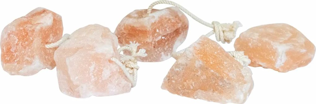 vidaXL Pedras de Sal para Lamber Rosa Sal de Rocha