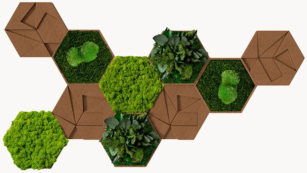 Quadro de parede Hexagon 10